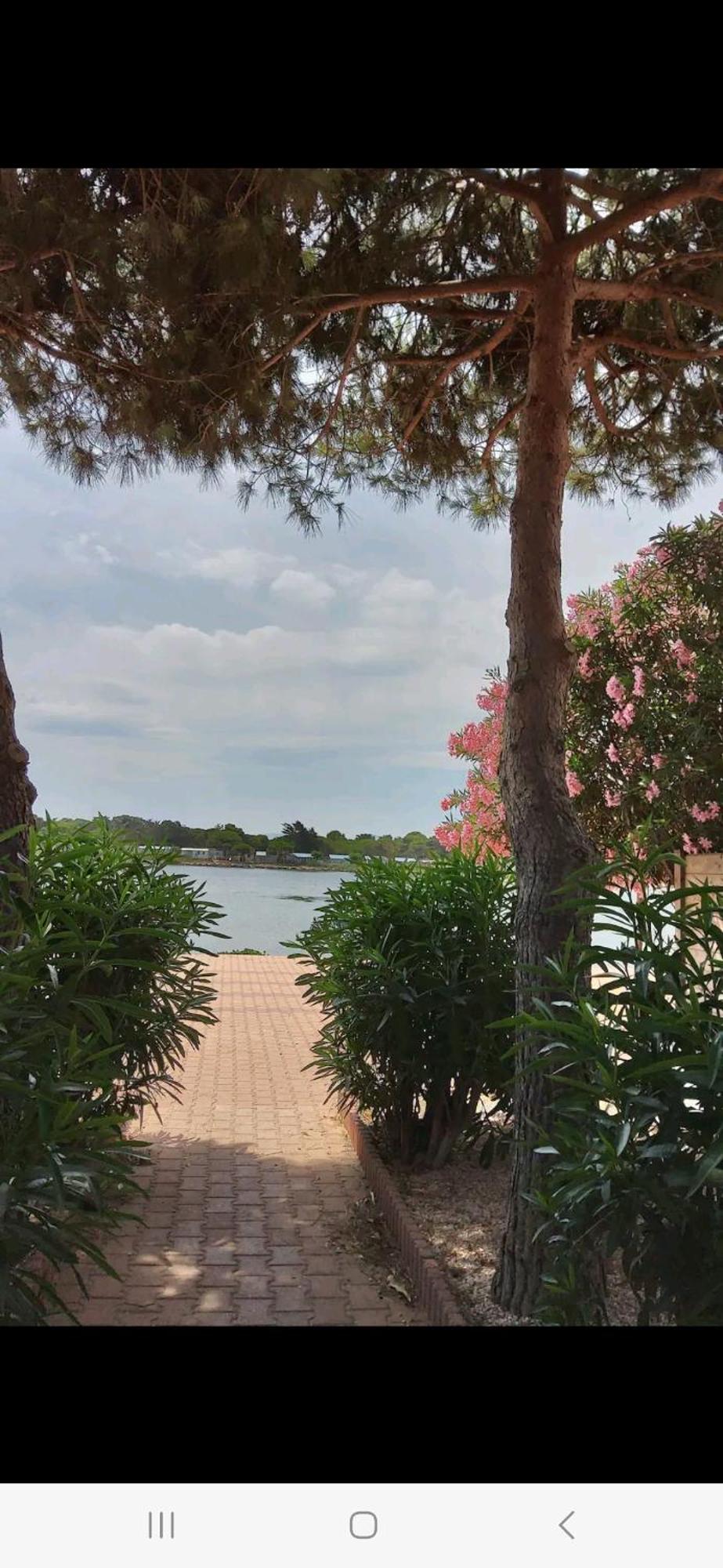 Villa 6P Piscine Spa Privatif Wifi Proche Des Plages Le Barcarès エクステリア 写真